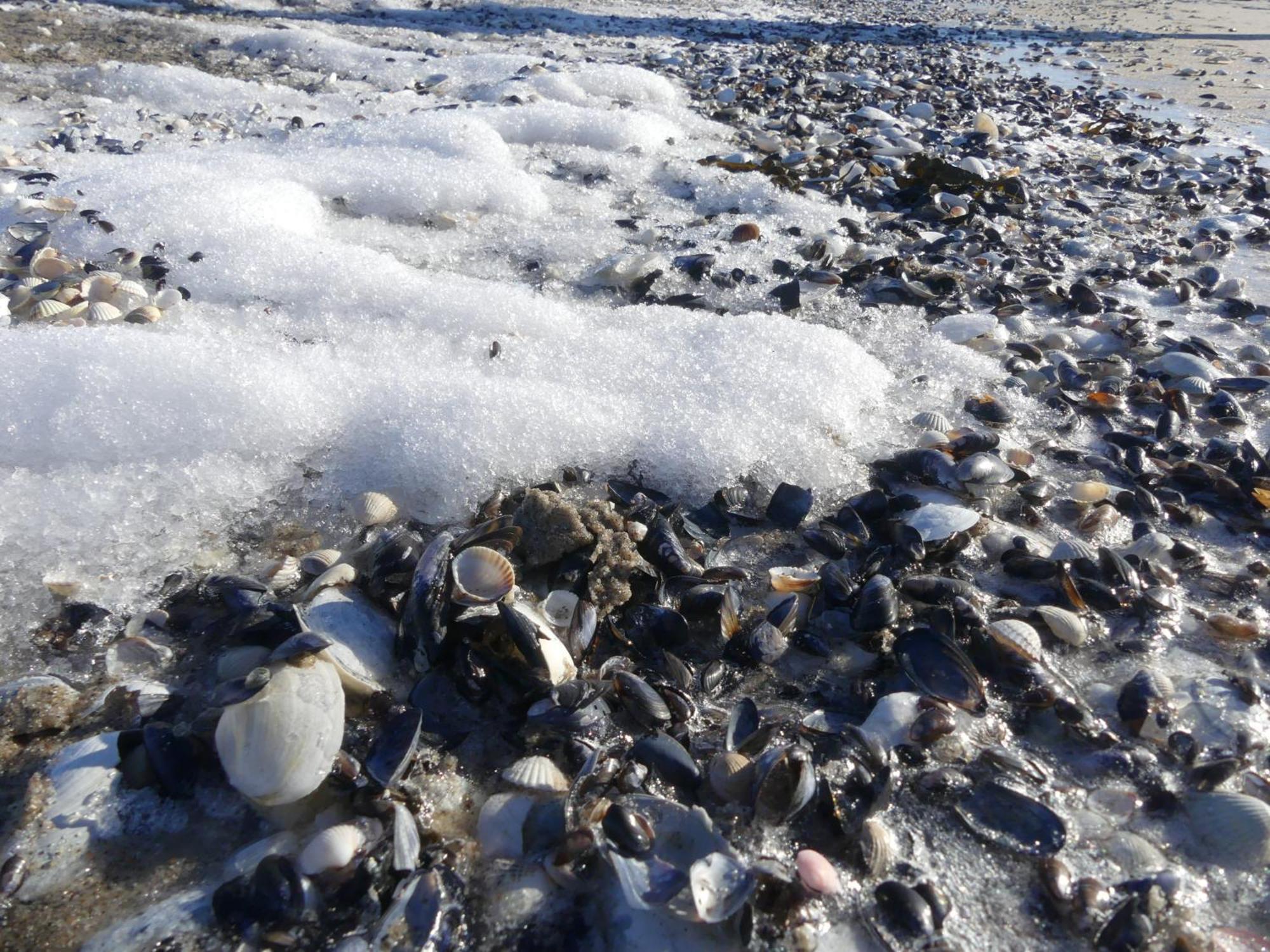 Pension Am Strand Juliusruh Exteriör bild